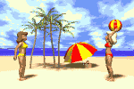 plagista animowane-obrazy-gif